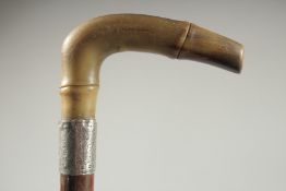 A VICTORIAN RHINO HORN HANDLE WALKING CANE with silver band. Birmingham