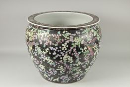 A LARGE FAMILLE NOIRE PORCELAIN FISH TANK decorated with birds, flowers and fish. 18ins diameter.