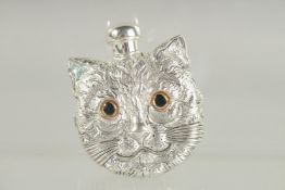 A NOVELTY CATS FACE PERFUME BOTTLE with glass eyes. 2.5ins x 2ins.