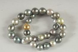 A SOUTH SEAS PEARL NECKLACE. 17ins long.