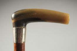 A RHINO HORN HANDLE BRIAR WALKING STICK with silver band.