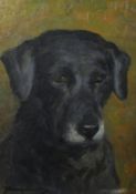 John Murray Thomson (1885-1974) British, A head study of a dog, oil on board, indistinctly signed,