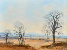 Gerard Hughes (20th Century) British, 'Vale of Aylesbury', oil on board, signed, 6
