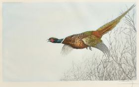 Leon Danchin (1887-1938) A Pheasant in flight, print in colours, signed in pencil, plate size 13.75