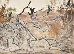 Circle of Sheila Macfarlane, A view of a tangle of trees on a bank, ink and watercolour, 13.25