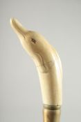A WALKING STICK with carved bone handle. 