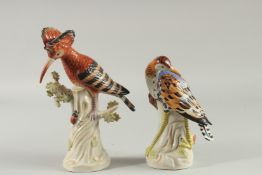 TWO PORCELAIN FIGURES OF BIRDS on a tree stump. 9ins & 8ins.