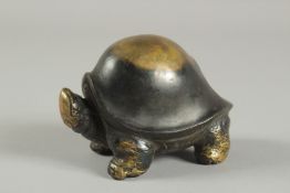 A BRASS TORTOISE.