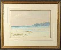 D. Sherrin, A coastal scene with grasses growing in the sand, light waves coming ashore, flying seas