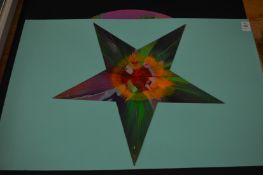 In the manner of Damien Hirst, spin picture of a star.