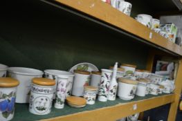 A good collection of Portmeirion Botanic Garden and other design to include numerous storage jars,