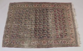 A PERSIAN RUG with many gulls 69ins x 48ins.