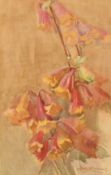 Hetty Dymock (1876-1977) Australia, a still life study of flowers, watercolour, signed, 17.5