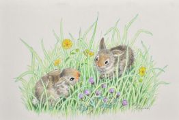 Ella Bruce (20th Century), two young rabbits amongst grass and flowers, watercolour, signed, 6.25