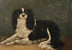 Provincial School, probably late 18th Century, a study of a spaniel, oil on canvas, 12