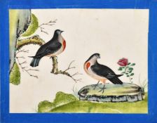 Chinese School 19th Century, Exotic birds, one on a branch, watercolour On paper, 5.75