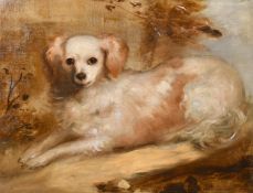 Circle of Gainsborough, a study of a small Spaniel, oil on canvas, 16.5