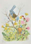 Ella Bruce (20th Century), tits amongst foliage and flowers, watercolour, signed, 9.5