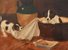 Early 20th Century English School, terriers playing, oil on canvas, signed with initials, 12