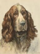 Herbert Dicksee, a colour engraving of spaniel, plate size 13