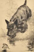 Morgan Dennis (1892-1960) American, 'Scram', an etching of a terrier chasing a toad, signed and