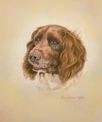 English School, Circa 1987, a head study of a Springer Spaniel, pastel, indistinctly signed, 13