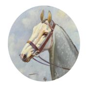 Circle of Mabel Hollams, Study of a piebald grey horse, oval oil on canvas, initialled, 8