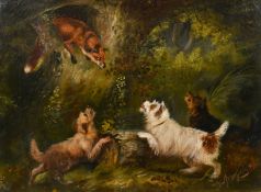 George Armfield (1808-1893), three terriers chasing a fox into a tree, oil on canvas, signed, 12