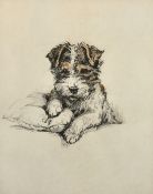 Lucy Dawson (1867-1954), 'Who Called', an etching of a dog on a cushion, signed and inscribed, plate