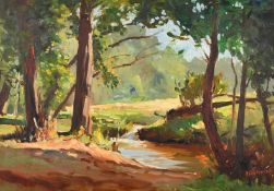 Titta Fasciotti (1927-1993) South African, view of a sunlit riverbank through trees, oil on board,