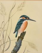 Anne Hopkinson, 'Kingfisher', watercolour, signed, The Arun Art Centre Ltd label verso, 9