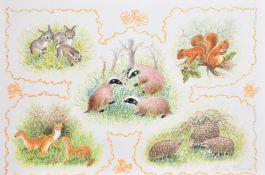Ella Bruce (20th Century), British wildlife set in cartouches, watercolour, signed, 7
