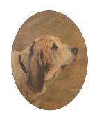 Circle of John Emms, A head study of a Bassett Hound, oil on canvas laid down, 16