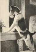 Morgan Dennis (1892-1960) American, an etching of a dog standing at a window, signed in pencil,