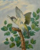 19th Century British School, a study of a bird perched on a tree, watercolour, 17.5