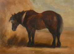 19th Century English School, a portrait of a horse, oil on canvas, 11