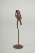 A JAPANESE BRONZE OKIMONO OF A BIRD.