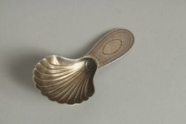 A GEORGE III SILVER SHELL CADDY SPOON. London 1809.