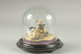 A POTTERY GROUP OF THREE CATS on a wooden base with glass dome.