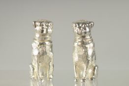 A SMALL PAIR OF SILVER PLATED BULL DOG SALT AND PEPPERS. 2.5ins .