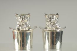 A SMALL PAIR OF SILVER PLATED CAT IN A HAT SALT AND PEPPERS. 2.5ins.