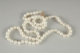 A STRING OF TINY PEARLS with 14ct gold clasp.