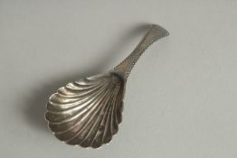 A GEORGE III SHELL CADDY SPOON, Circa. 1780. Maker: W.B.