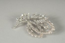 A GOOD 18CT WHITE GOLD DIAMOND SPRAY BROOCH.