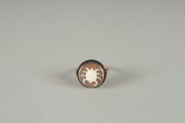 A 9CT GOLD SPIDER CAMEO RING.