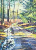 Maureen Davies, 'Winter Track', a track through a woodland glade, pastel, signed in pencil, 32