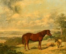 George Bouverie Goddard (1832-1886) British, a chestnut horse alongside sheep with a distant view