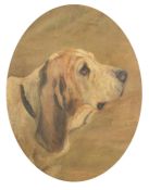 George Vernon Stokes (1873-1954), head study of a Basset Hound, oil on canvas board, signed
