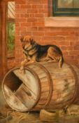 Charles Edwin Baldock, Circa 1893, a dog resting on a barrel, oil on board, signed and dated 1893,