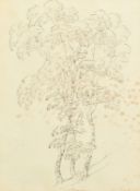 Barker of Bath, a set of five ink drawings of trees, all signed and inscribed, each around 12